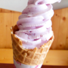 ソフトクリーム始めました！