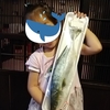 魚さばき100本ノック　2匹目