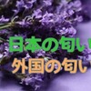 外国人「日本人は醤油のニオイがする」本当だろうか？
