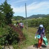 ブルーベリー農園の様子183　東広島市豊栄町