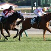 東京競馬場へ行った来ました (2025/2/10)