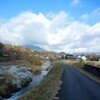 時雨れて剪定はままならぬ