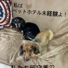初3連休