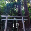 神奈川県南足柄市　　御嶽神社　鳥居杉