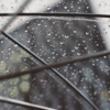 ついに雨....のニューヨーク