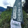 鍋と星空と小枝ストーブと。