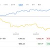 【テスラが終わった？】年初来マイナス30%超でFANG＋から排除希望が殺到中