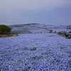 ひたち海浜公園