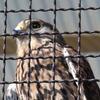 山形県内唯一の動物園らしい・・・山形県河北町・児童動物園