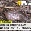 今シーズンで一番の寒さ（熊本）