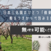 日本三名園のひとつ「偕楽園」で梅＆うまかっぺ包みを堪能