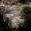 2013春。