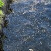澱ノ道は宗教ではなく道
