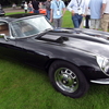 The Cartier Style et Luxe Concours　Fabulous at 50 - The Incomparable Jaguar E-type 　