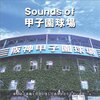 高校野球あれこれ　第85号