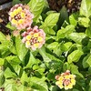 仕事をサボるのもマナーってもんがあるでしょ