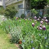 深大寺ひばり児童遊園（東京都三鷹市）