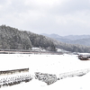 〈2/21 高山遠征-3〉やっぱり圧巻、大阪ひだ