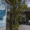 それ行け!!小猿近江遊山　水族と遊ぶ