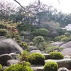 倉敷国際ホテルのランチバイキングと円通寺公園の桜