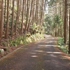 平戸往還　江里峠