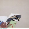What is the true meaning behind Uemura Shoen's unique works "Hanagatami" and "Homura"?