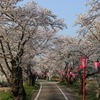 平成最後の18きっぷダイジェスト―名古屋とうどんと、桜と日本のマチュピチュ