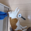 奏