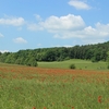 田舎で散歩 – Promenade dans la campagne