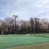 お花見テニス
