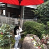 【お出かけスポット】【東京都】【台東区】上野動物園　に行ってきました　続き×7