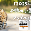 【2025年版】お勧め小型ギターアンプヘッド3選｜ギターエフェクター