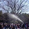 福岡市動植物園→タイ料理屋さん→福岡市博物館