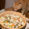 食欲の秋だけどダイエッターが本気で痩せる勝負食（夕食）を晒す