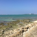 めざせ複業！日記