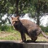 めいちゃんに、会いに行く