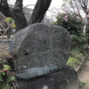 万葉集の世界に飛び込もう（その２６９２）―書籍掲載歌を中軸に（Ⅱ）―