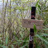 2026-04-24 亀沢山