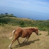 岩美→隠岐（西ノ島）→松江