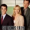 F.B. EYE　相棒犬リーと女性捜査官スーの感動！事件簿　S3  ＃19　シリーズ最終回　新たなスタート　Sue Thomas: F.B.Eye  “ENDINGS AND BEGINNINGS”