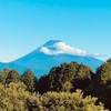 今朝の景色