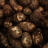 むかごには毒性があって注意すべき？食べられないむかごの見分け方について