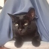 振り返り思う事 ✾やはり私のためだった✾