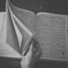 「翻訳」について。久々の更新の中で。