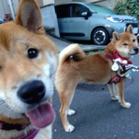 次なる試練　同窓会は終わった…ああああ☆彡