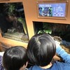 上野動物園、からの長男高校合格祝い寿司