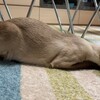 春の気配すら