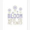 Bloom where you are planted