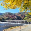 【京都】『嵐山、渡月橋』に紅葉を見に行ってきました。