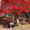 “ジジババツアー御一行様”の紅葉狩りドライブ・・・